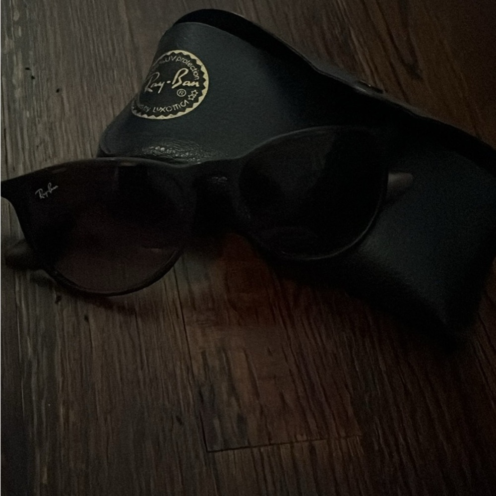 Ray-Ban Men’s Black Sunglasses with Case